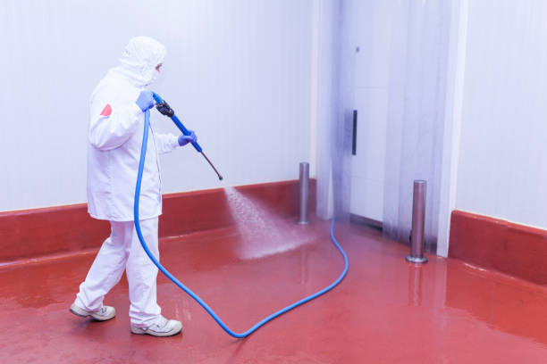 Best Building Exterior Washing  in Lewisburg, KY