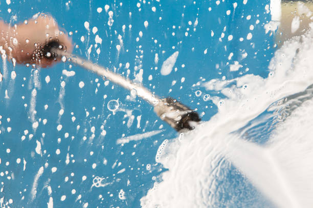 Best Animal Enclosure Cleaning  in Lewisburg, KY