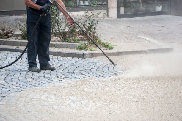 Best Dumpster Area Cleaning  in Lewisburg, KY