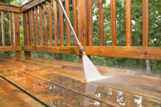 Best Fence Cleaning  in Lewisburg, KY